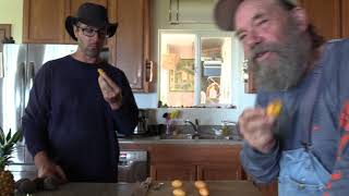 Tasting Maprang Mango