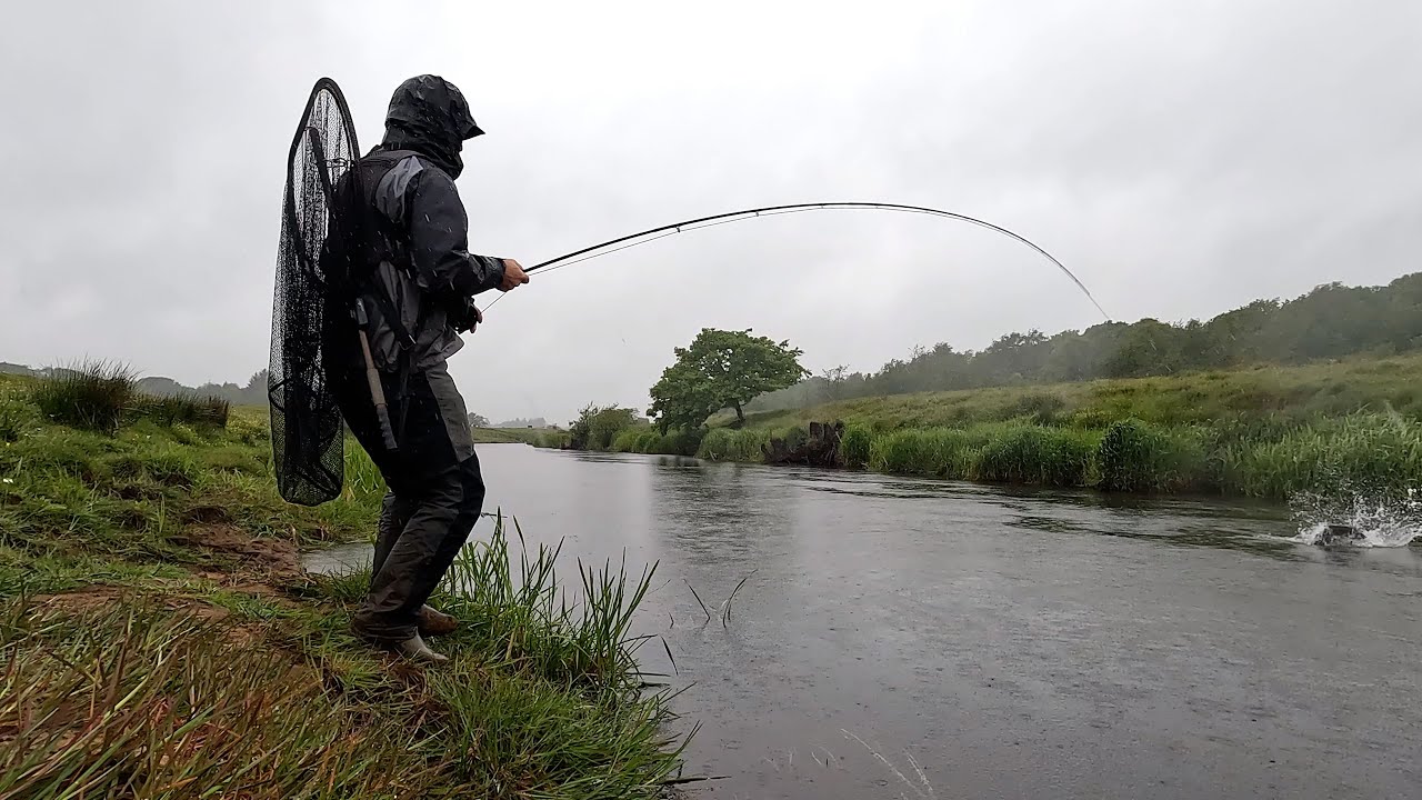 Maj Laks i Stor Å 2025 Kom maj, du søde, milde