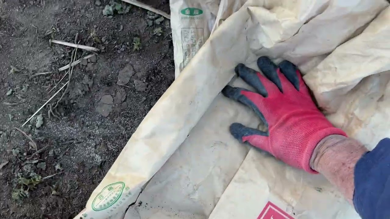 トマトハウス予定地にヌカ＋ペレット散布