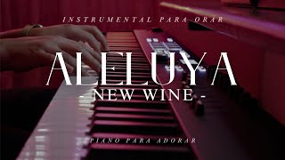 1 HORA - MUSICA PARA ORAR Y MEDITAR - SIN ANUNCIOS INTERMEDIOS - ALELUYA - NEW WINE