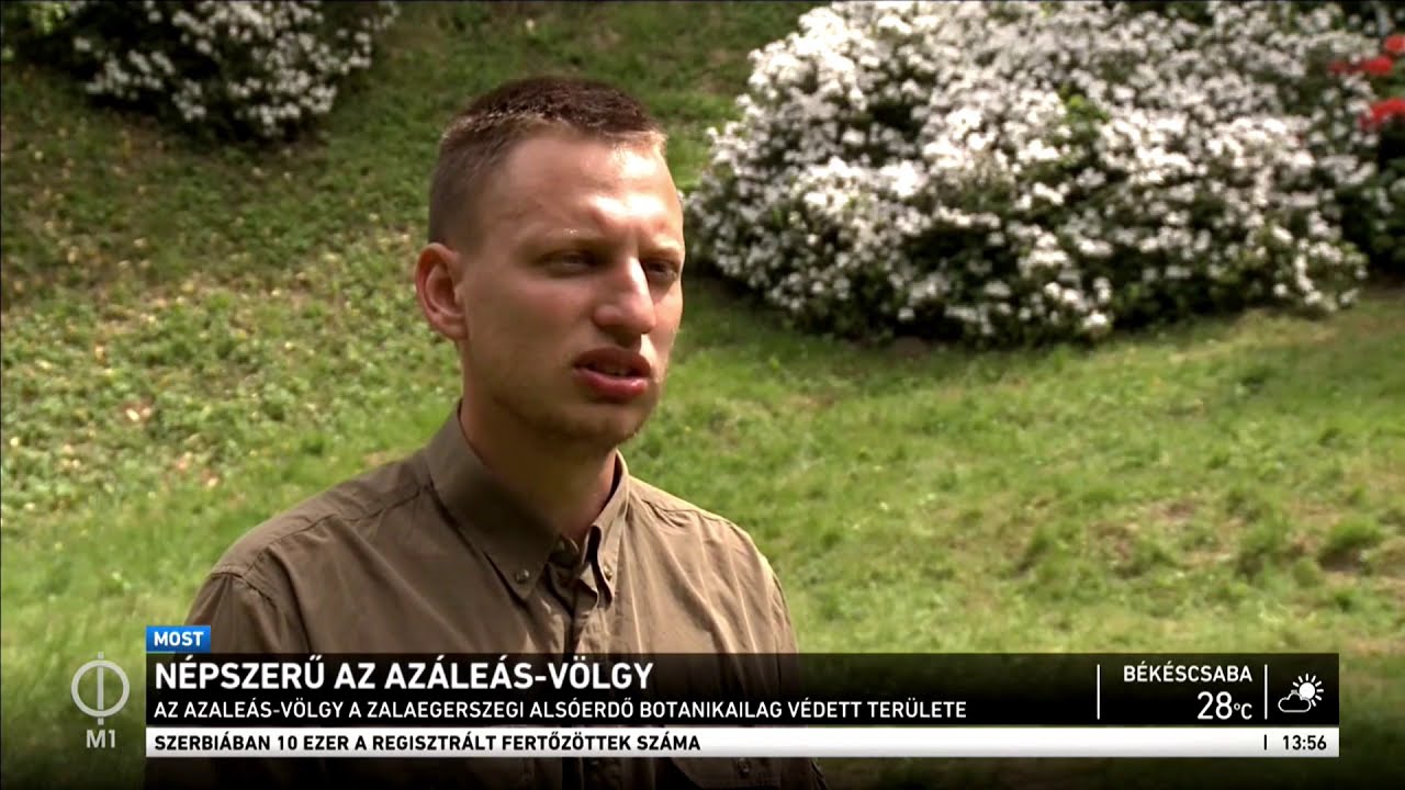 Népszerű az Azáleás-völgy – M1 Ma délután 2020-05-11