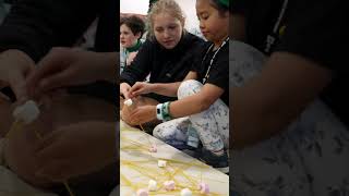 CYC Impact Autumn