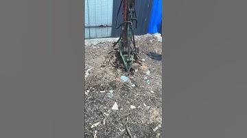 I am very professional at grabbing machines and uprooting tree roots #shorts