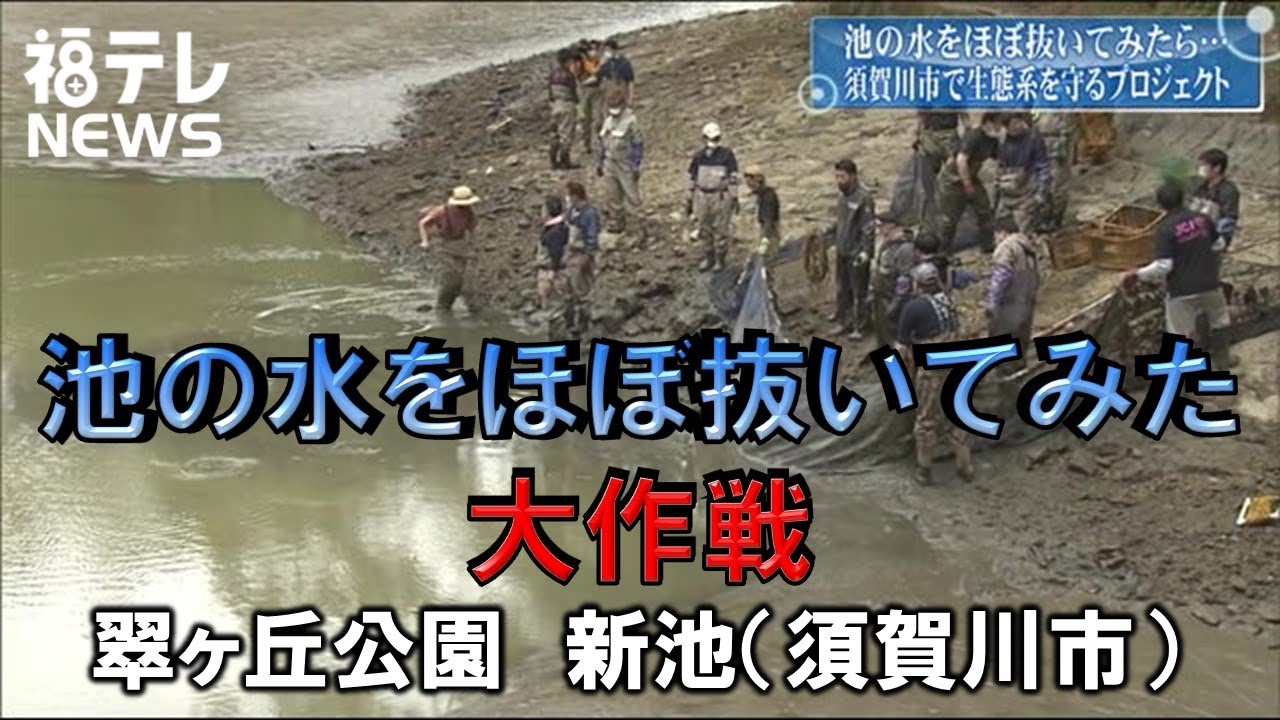 池の水をほぼ抜いてみたら 翠ヶ丘公園 新池 須賀川市 21 04 26 Youtube