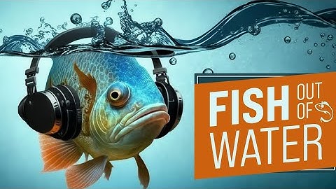 Silversun Pickups - Future Foe Scenarios Reaction (FOOW)