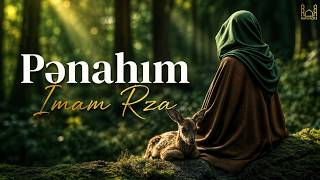 Pənahım İmam Rza - Rehim313 2026