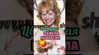 Памела Андерсон с взрослыми сыновьями #селебрити #сплетни #новости #слухи #памелаандерсон #актриса