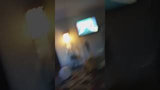 Spongebob Squarepants Episode Arbor Day Disarray