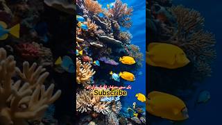 Allah Be Insafo Ko Gumrah Kar Deta Hai