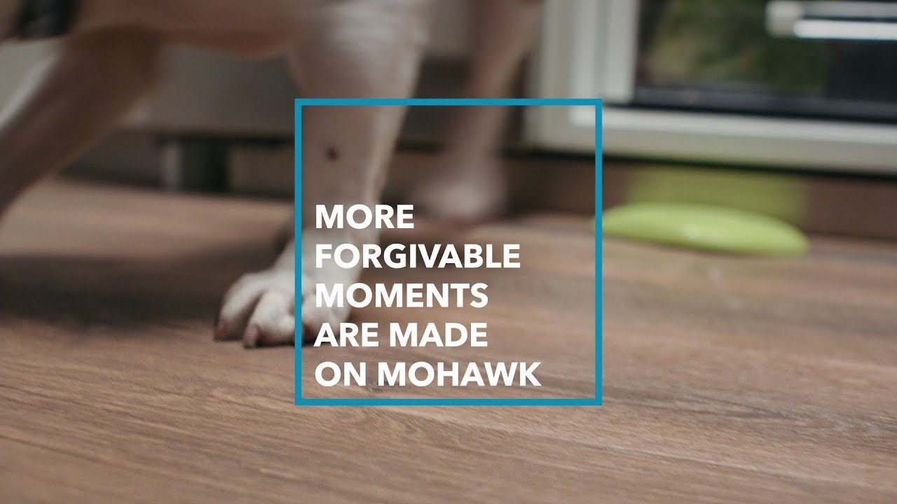 All Pet Mohawk Flooring More Forgivable Moments Youtube