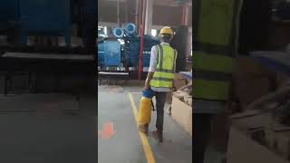Best Pest Control Service Bangladesh | Cockroach, Mosquito, Rat Solution | Affordable Service