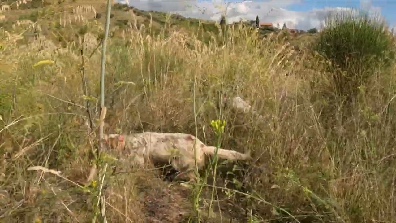 APERTURA 2025 3 GIORNATA