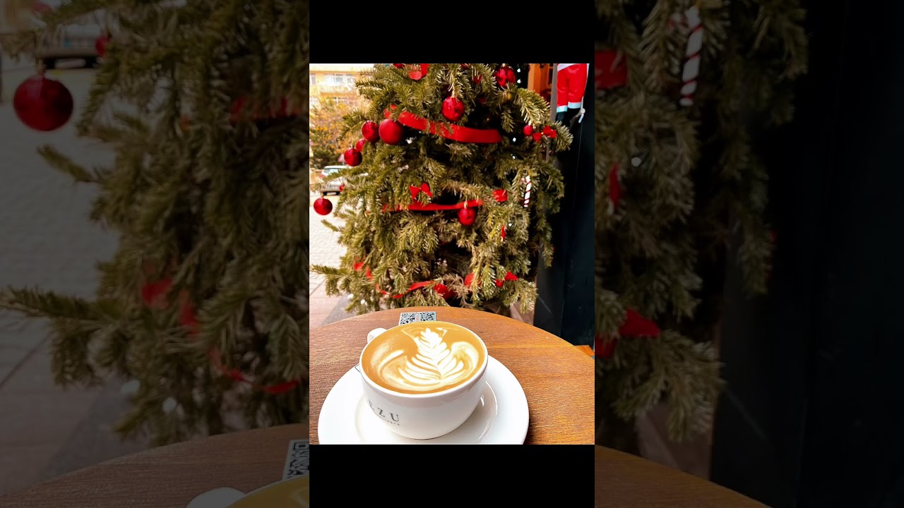 Arezu Coffee shop has the best lattes 