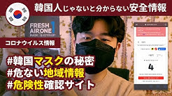 ソウルグルメ서울미식가 Youtube
