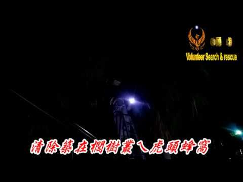 清除築在櫚樹叢ㄟ虎頭蜂窩060927