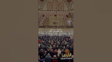 وبشر المؤمنين #سورة_الأحزاب #القرآن_الكريم #ماهر_المعيقلي #اكسبلور #راحة_نفسية #لايك #تلاوة_خاشعة