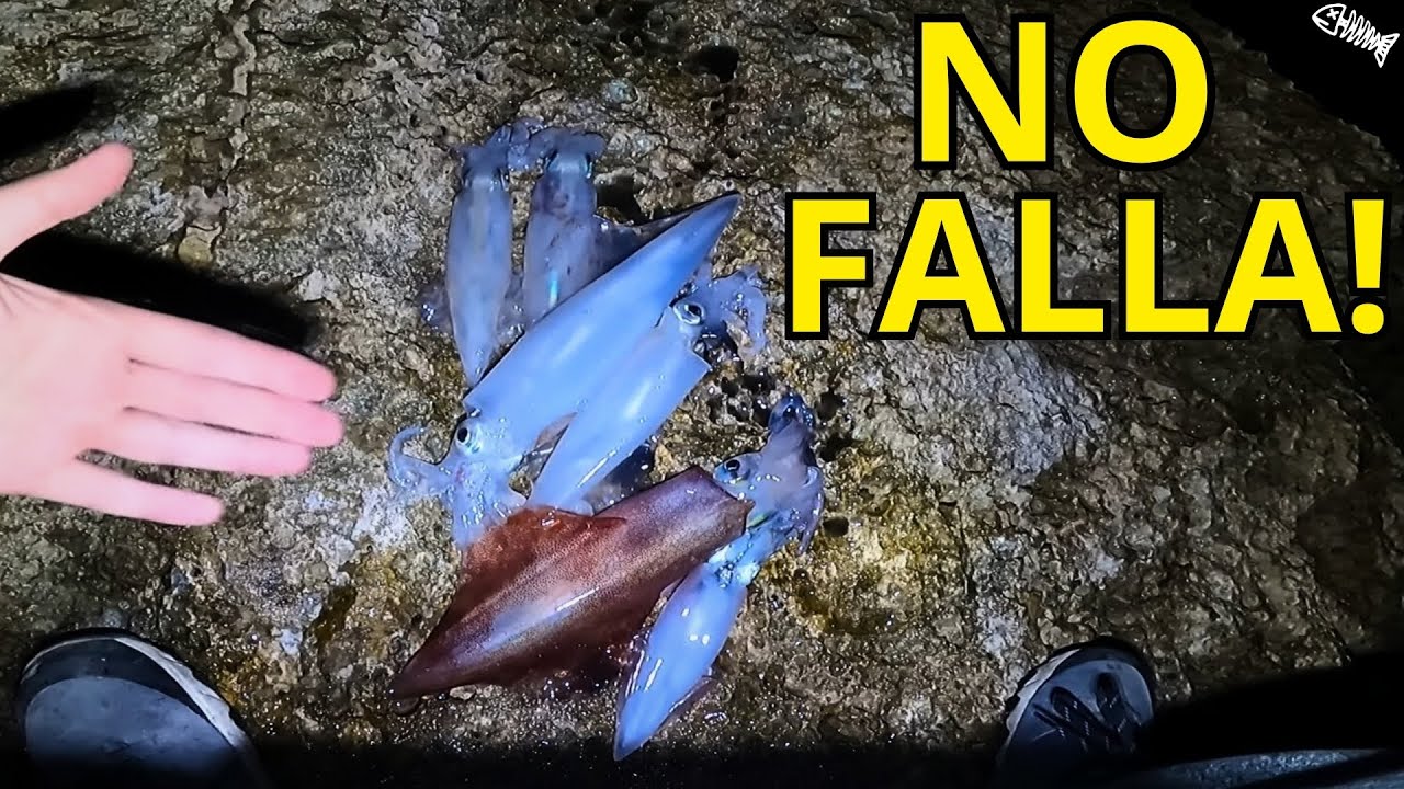 EL 𝗧𝗥𝗨𝗖𝗢 para 𝗣𝗘𝗦𝗖𝗔𝗥 varios 𝗖𝗔𝗟𝗔𝗠𝗔𝗥𝗘𝗦 𝗦𝗘𝗚𝗨𝗜𝗗𝗢𝗦 [𝙀𝙜𝙞𝙣𝙜]