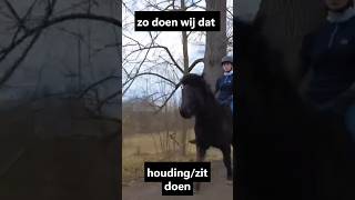 zo doen wij dat - houding/zit doen