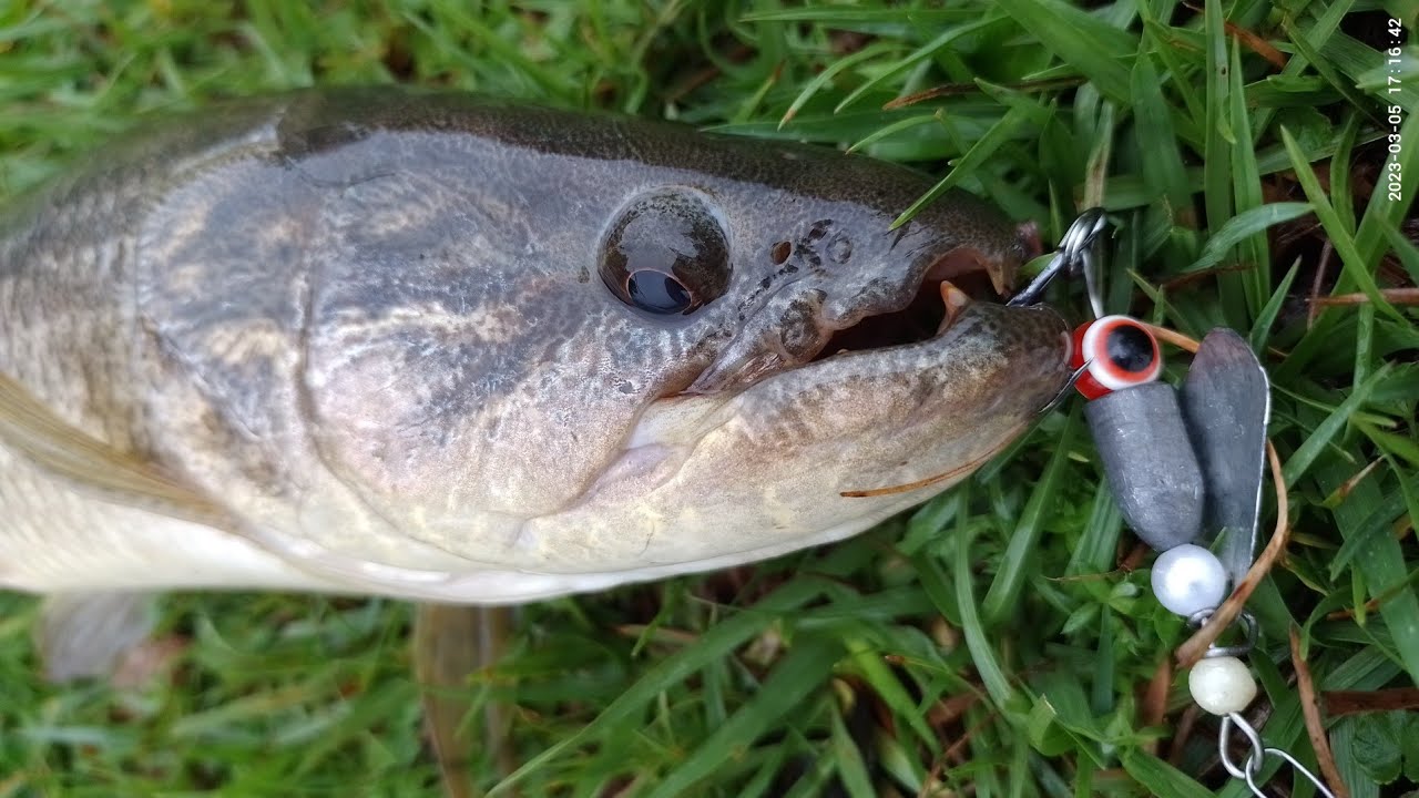 COMO FAZER UM SPINNER CASEIRO! FAÇA VC MESMO e pegue muito peixe!