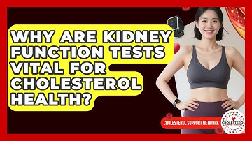 Why Are Kidney Function Tests Vital For Cholesterol Health? - Cholesterol Support Network