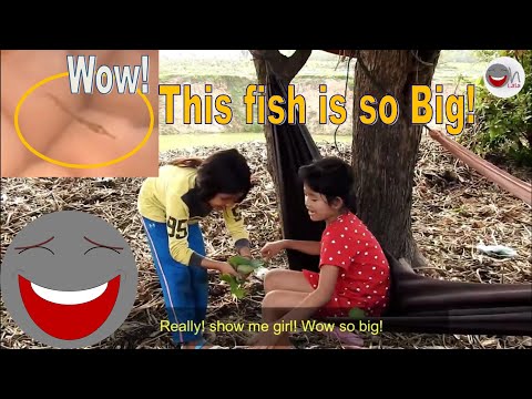 Wow the fish is so big | ត្រីធំជាងគេលើពិភពលោក | Funny Video | Oh Lala Tube