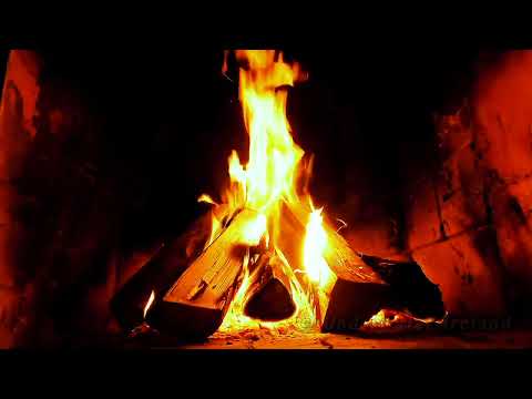 Relaxation sound of fire. Api relaksasi. Fuego de relajación. Fogo de relaxamento. विश्राम अग्नि 放松火