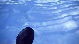 DSCF2290.AVI