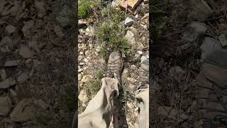 Steep Downhill Hiking Tips  - Outdoor Minute - UtahGuide.com - Loose Terrain - Short Steps