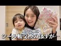 娘と念願のシール帳交換のはずが!!奇跡も起きてパニックwww
