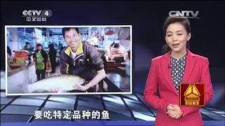 20150401 走遍中国  系列片食在八方（8）——名菜美点扬粤味