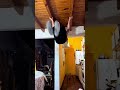 We Almost Ran Out Of Challenge We Almost Ran Out Of Challenge