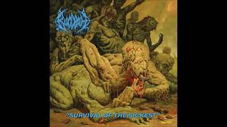 Death Metal 2022 Full Album &quot;BLOODBATH&quot;- Survival Of The Sickest