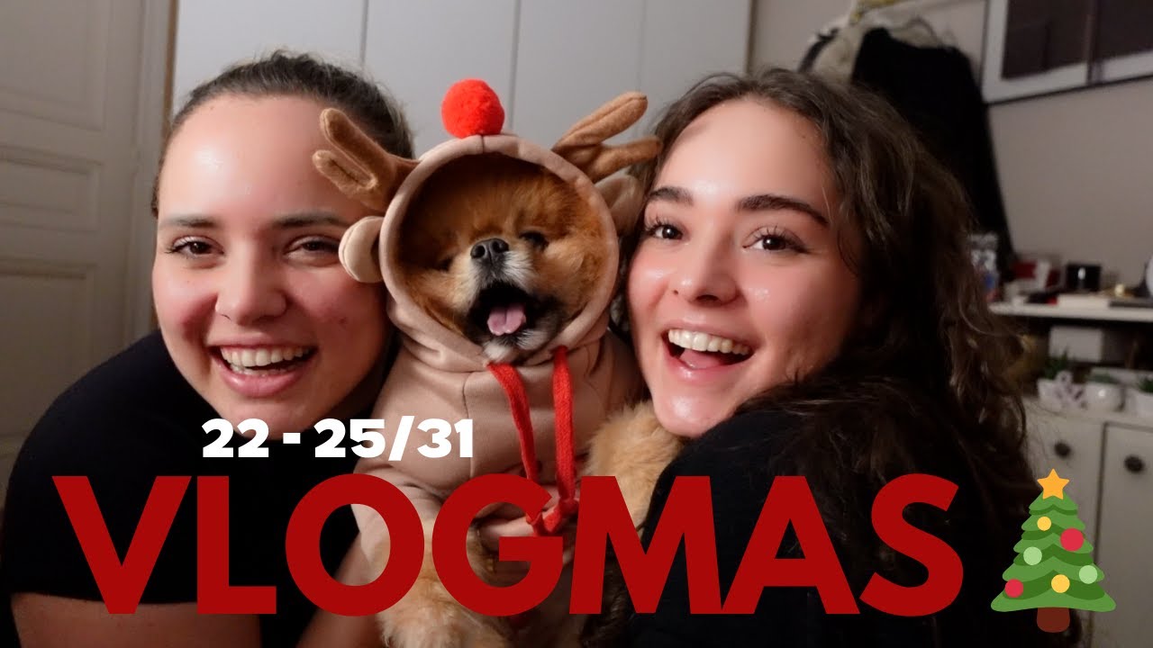 Andjela's VLOGMAS 22-25/31🎄 - PUKLA NAM GUMA U PARIZU! HAOOOS! NAJBOLJI VLOG DO SADA