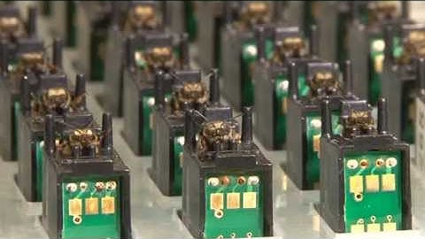 Bomb-ble bees: Insects to sniff out explosives