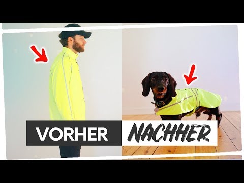 Video: Wie Man Einen Overall Für Einen Hund Näht