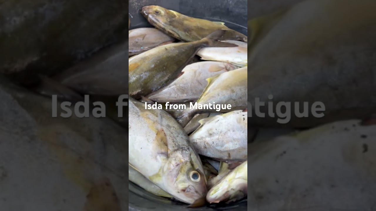 Meanwhile in Camiguin 