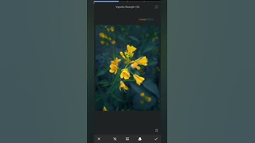 Snapseed Viral Photo Editing | Snapseed Tutorial | Android | IPhone