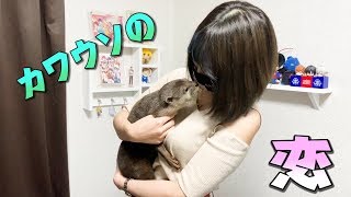 カワウソしゃもじの恋のお相手は？