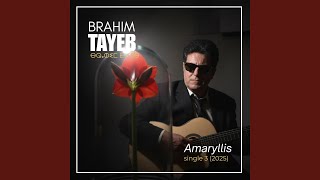 Amaryllis