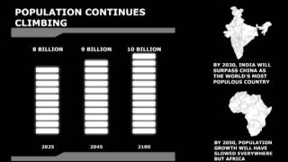 7 Billion People | HD Animation