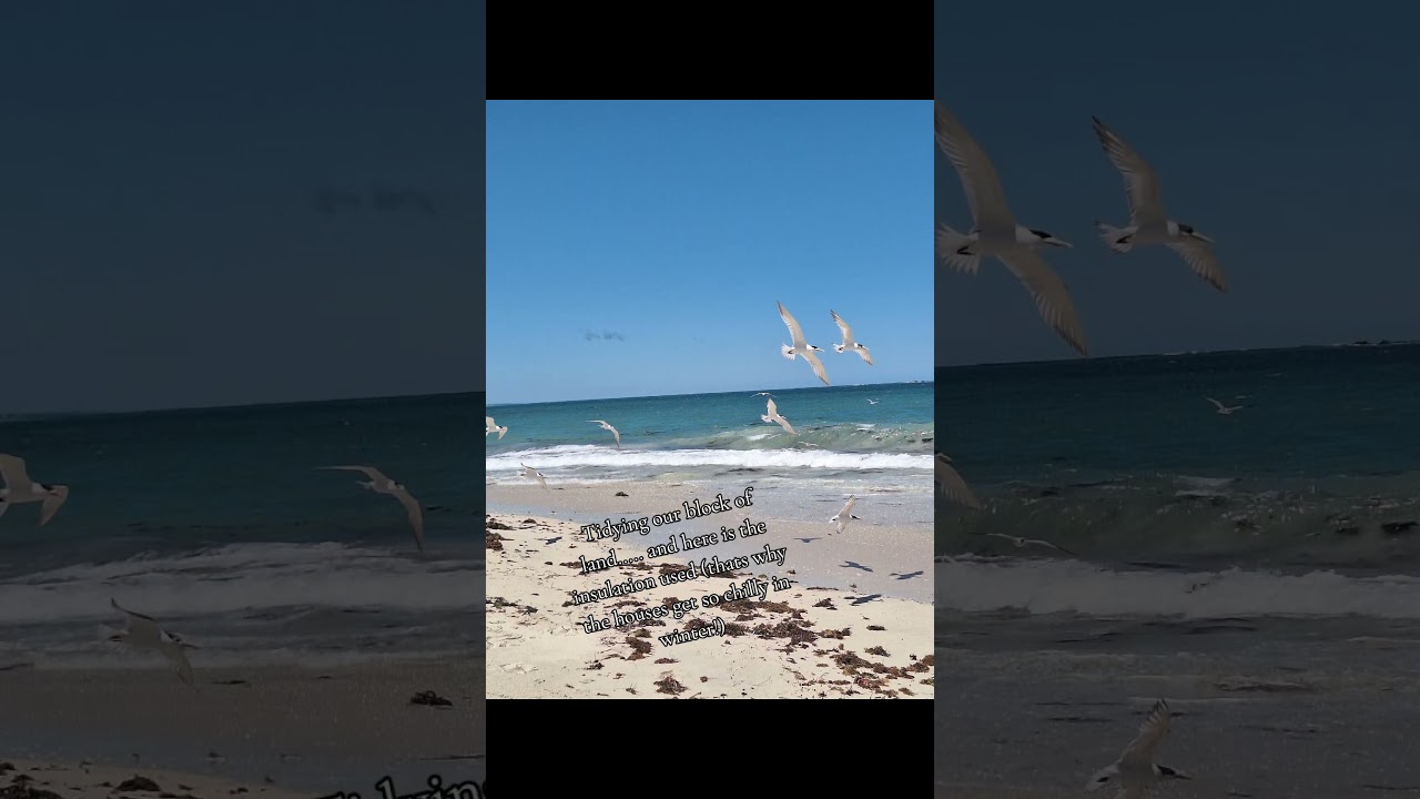 Keeping our block of land tidy, ready to start building our house! 