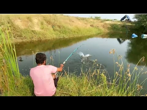 Best Hook Fishing |Rohu Fish Catching In Water pond - YouTube