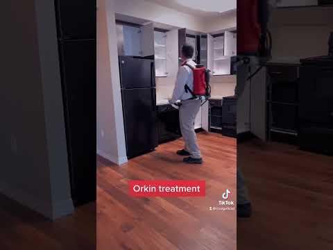 Orkin Treatment Downtown Sandiego Blessed Maintenance Treatment California Working 