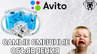 ТОП 9 САМЫХ УГАРНЫХ ОБЪЯВЛЕНИЙ НА АВИТО, МУРАВЬИНАЯ ФЕРМА \\ ТАПОК МИРА