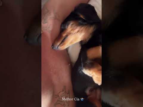 Joao Guilherme (@joaoguilherme) archived Instagram Stories compilation from June 8, 2026