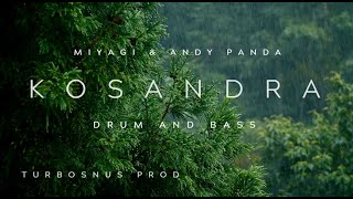 KOSANDRA Drum and Bass #remix #miyagi #andypanda