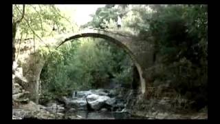 Ni̇hat Baran Yarê Menajer 05338195921