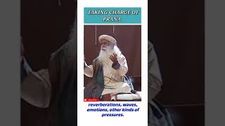Taking charge of prana☑️||SADHGURU||#shorts