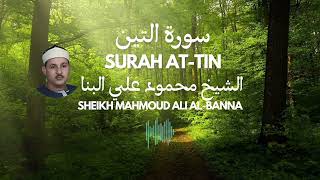 صوت رائع مبدع🎧🤍✋️سورة التين Surah At-Tin || الشيخ محمود علي البنا Sheikh Mahmoud Ali Al-Banna #قرآن