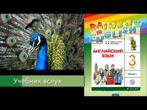 Rainbow English 3-1, Unit 1 Step 5, Английский язык 3 класс ч.1, Афанасьева, Михеева. Rainbow English 3-1, Unit 1 Step 5, Английский язык 3 класс ч.1, Афанасьева, Михеева.